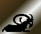assets/images/Capricorn.jpg