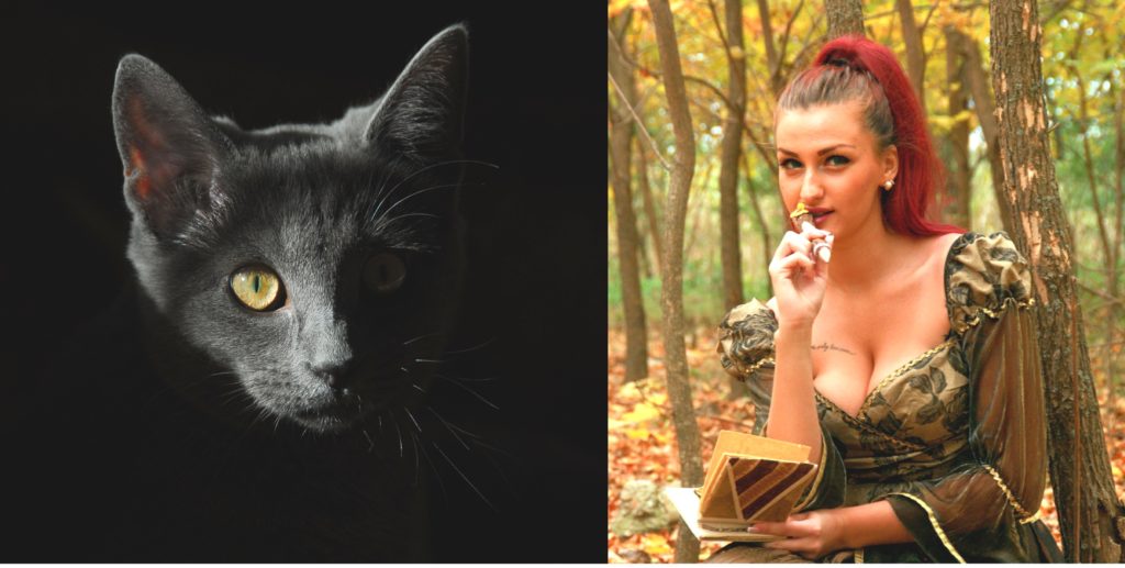 Introvert versus extrovert