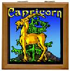 onlinepagan_zodiacstore-book-09.png