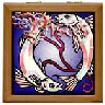 onlinepagan_zodiacstore-book-14.png