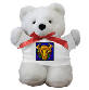 onlinepagan_zodiacstore-book.jpg