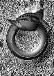 ouroboros image ouroboros image